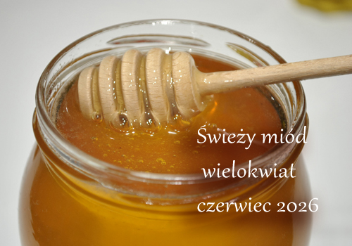 Aktualnie dostępne miody z Pasieki Szkudlarek. Miód nektarowy wielokwiatowy, nektarowy rzepakowy oraz nektarowy akacjowy. Wszystkie w formie skrystalizowanej. Miody Kolumny, Miody Łask 
