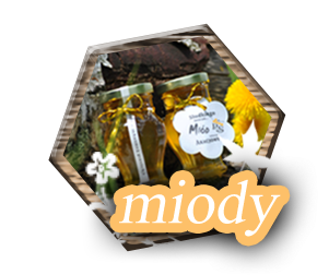 Rodzaje miodów