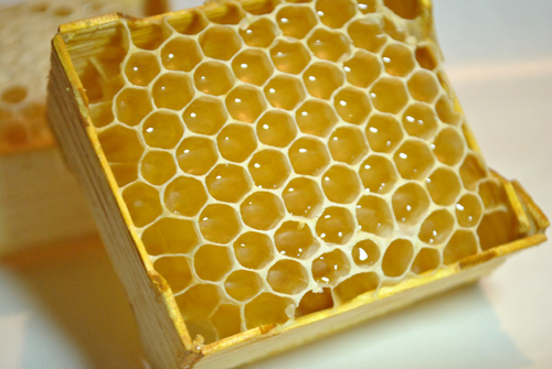 Mini ramka z ula - Plaster miodu